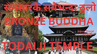 Todaiji Temple at Nara| Japan Travel Diary| सनसारकै सबैभन्दा ठुलो Bronze Buddha| Amrita Time