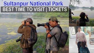 Sultanpur National Park 2023 Visit - A Bird's Paradise | Best Time To Visit With All Information