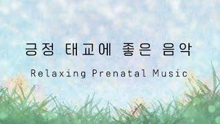 Relaxing positive music for fetal development and stability  Soft music and nature sound