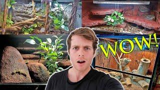 REACTING To YOUR Reptile Enclosures!