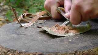 How To Light Birch Bark With A Spark