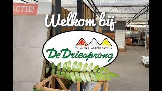 Ben je verhuisd? Of ga je jouw tuin opknappen? Kom naar Tuincentrum de Driesprong!