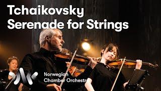 Tchaikovsky: Serenade for Strings in C major // Tønnesen & NCO