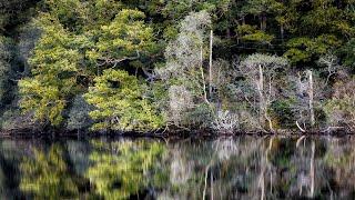 Rob Roy's cave: Capturing the mystery