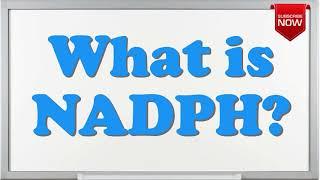 What is the full form of NADPH?