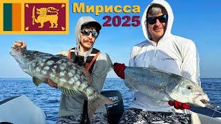 Морская рыбалка на Шри-Ланке. Мирисса 2025.