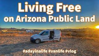 Living Free on Arizona Public Land #adayinalife #vanlife #vlog