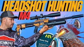 FX IMPACT M4 HEADSHOT AIRGUN HUNTING I LONG RANGE AIRGUN HUNTING WITH FX IMPACT M4