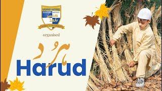 HARUD 2022 |  Kashmiri Culture | Kashmir Harvard