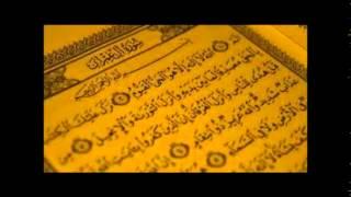 Koran karim surat AL Imran Sudais