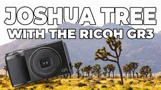 Testing the Ricoh GR3 in Joshua Tree - Sample pictures