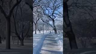 Snow walk on April 1st in Minnesota #subscribe #thankyou #snowwalk #winterwalks #minnesota #shorts