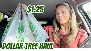 DOLLAR TREE HAUL | SMALL CAR HAUL | CHAT | NEW