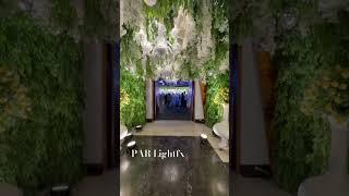 LIGHTING FOR PASSAGE | PASSAGE DECOR | #parlightfx #ytshorts #decor #youtubeshorts #viral #like #fyp