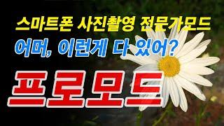 스마트폰 사진촬영 세밀한 프로모드 기법, 전문가 수동모드 | 근접촬영 아웃포커스, 화이트밸런스, ISO와 셔터스피드 조절하여 퀄리티 높은 멋진 사진작품을 찍을수 있어요