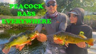 5 TIPS TO CATCH MORE PEACOCK BASS