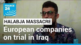 1988 Halabja chemical attacks: European companies on trial in Iraqi Kurdistan • FRANCE 24 English