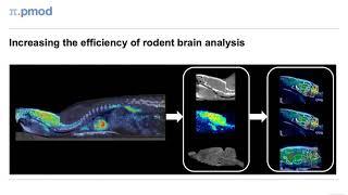 PNROD Tool for Rodent Brain Image Analysis (Overview)