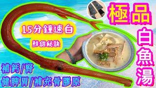 【馬鞭魚湯】極速補鈣/膠養顏要識煲‍️必食驚人價短火鮮甜奶白🩵幾十蚊做出幾百蚊酒店水準🫰