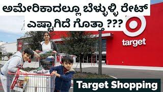 Target Shopping | ಒಂದು ಬೆಳ್ಳುಳ್ಳಿ ಗಡ್ಡೆಗೆ  ಇಷ್ಟು ದುಡ್ಡು ಕೊಡ್ಬೇಕಾ?? | #kannadavlogsfromusa