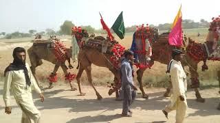 Jamat Baba Muhammad panah Kambir sharif sahiwal Mela/Ramzan Qasim Fans