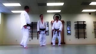 Judo Techniques  - Half Body Roll Counter | Judo Ann Arbor