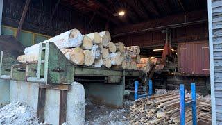 Gattersägewerk / Sawmill Esterer EWD Springer Microtec BNK DK90TL Combimes