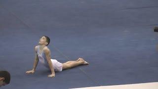 Fuzzy Benas - 2016 JO Nationals - Level 8 JE