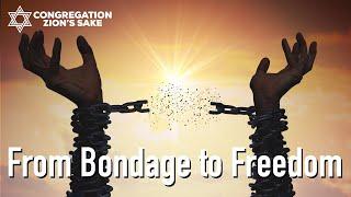 From Bondage to Freedom | Shabbat 1/12/2024