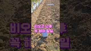 비오고 난후 꼭 해야 할일
