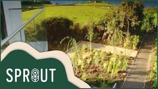 Sprout - Gardening Channel: Building a Dream Garden on a Cliff