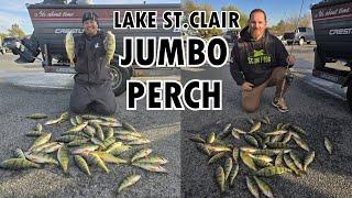 MEGA JUMBO PERCH FISHING ON LAKE ST.CLAIR - Lake St.Clair Fishing 2024