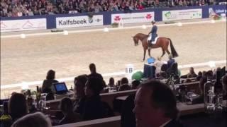 Expression KWPN Stallion Show 2017