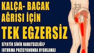 SİYATİK AĞRISI İÇİN TEK EGZERSİZ #aktifizyo #fiziktedavi #siyatik #belağrısı