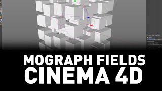 Learn MoGraph Fields in Cinema 4D