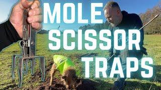 SCISSOR TRAP for MOLES? Why? When? Where?