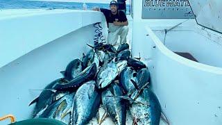 We Couldn't Fit Another Tuna in the Cooler | The 2 Day Trip that Lasted 8 Hours