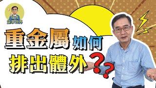 重金屬如何排出體外｜ 日常調整體質 ｜健康便利貼｜瑞克的益享世界｜真益生