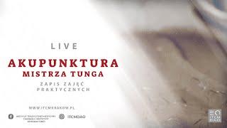 #31 Akupunktura Mistrza Tunga #1 | Zapis Live - ITCM DAO