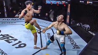 TOP Head Kick Knockouts | MMA, Kickboxing KO's