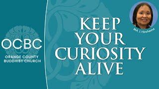 Keep Your Curiosity Alive 2023.10.01