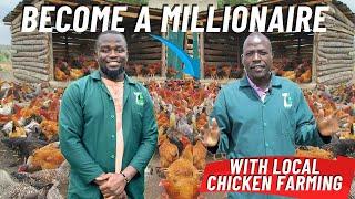 How To Become a Millionaire With Local Chicken Farming  In a Few Months