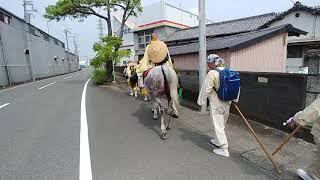 聖護院門跡　富士山峰入修行(お馬さん)