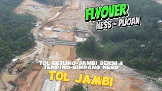 Update Terkini! FLYOVER NESS Pijoan, Tol Betung Jambi Seksi 4!  | Drone View