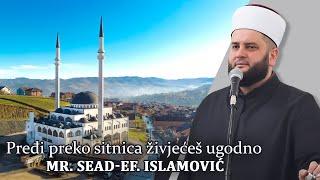 Pređi preko sitnica živjećeš ugodno- mr. Sead-ef. Islamović #hadzimehovadzamija