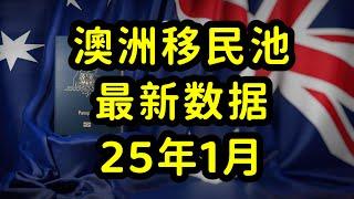 澳洲189独立技术移民，2025年1月全新移民数据