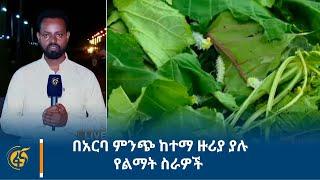 በአርባ ምንጭ ከተማ ዙሪያ ያሉ የልማት ስራዎች