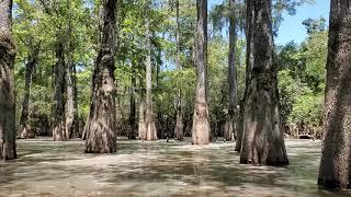 Honey Island Swamp kayaking