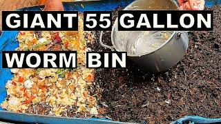 My BEST Home Worm Farm- 55 Gallon Bin Worm Bin