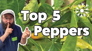 TOP FIVE PEPPERS for your garden!